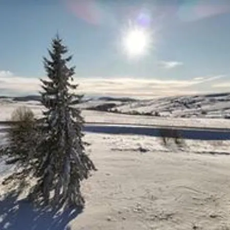 Lägenhet Spacieux 4 Pers Au Pied Des Pistes - Fr-1-814-120 *