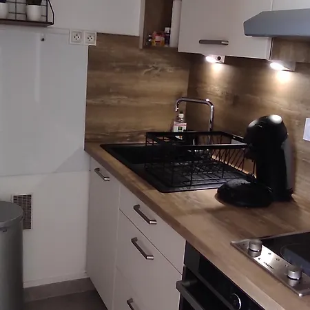 Apartment Spacieux 4 Pers Au Pied Des Pistes - Fr-1-814-120 *