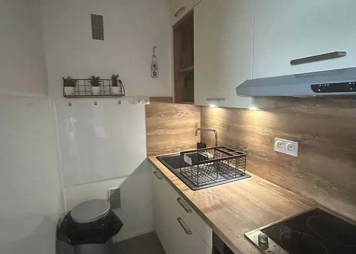 Spacieux 4 Pers Au Pied Des Pistes - Fr-1-814-120 Apartment *