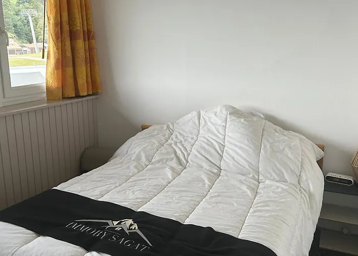 Spacieux 4 Pers Au Pied Des Pistes - Fr-1-814-120 Apartment Super Besse