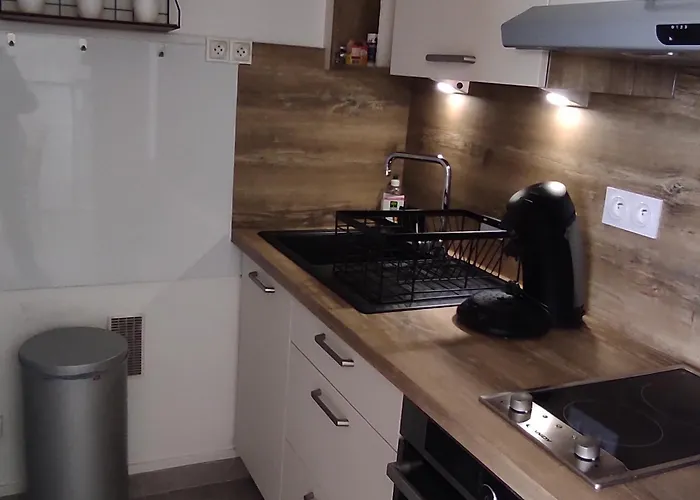 Apartment Spacieux 4 Pers Au Pied Des Pistes - Fr-1-814-120 *